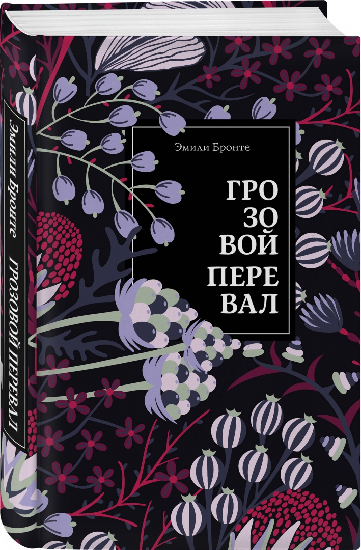 Грозовой перевал (Бронте Эмили)