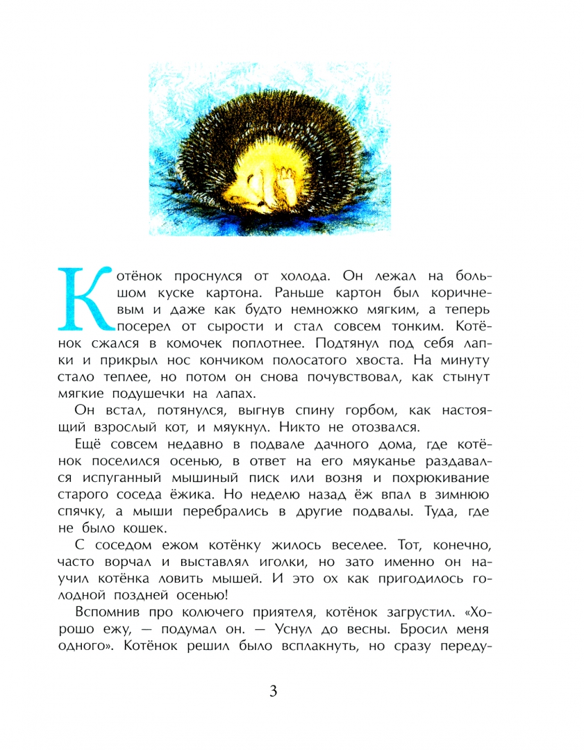 Зимняя сказка (Каретникова Екатерина Алексеевна)