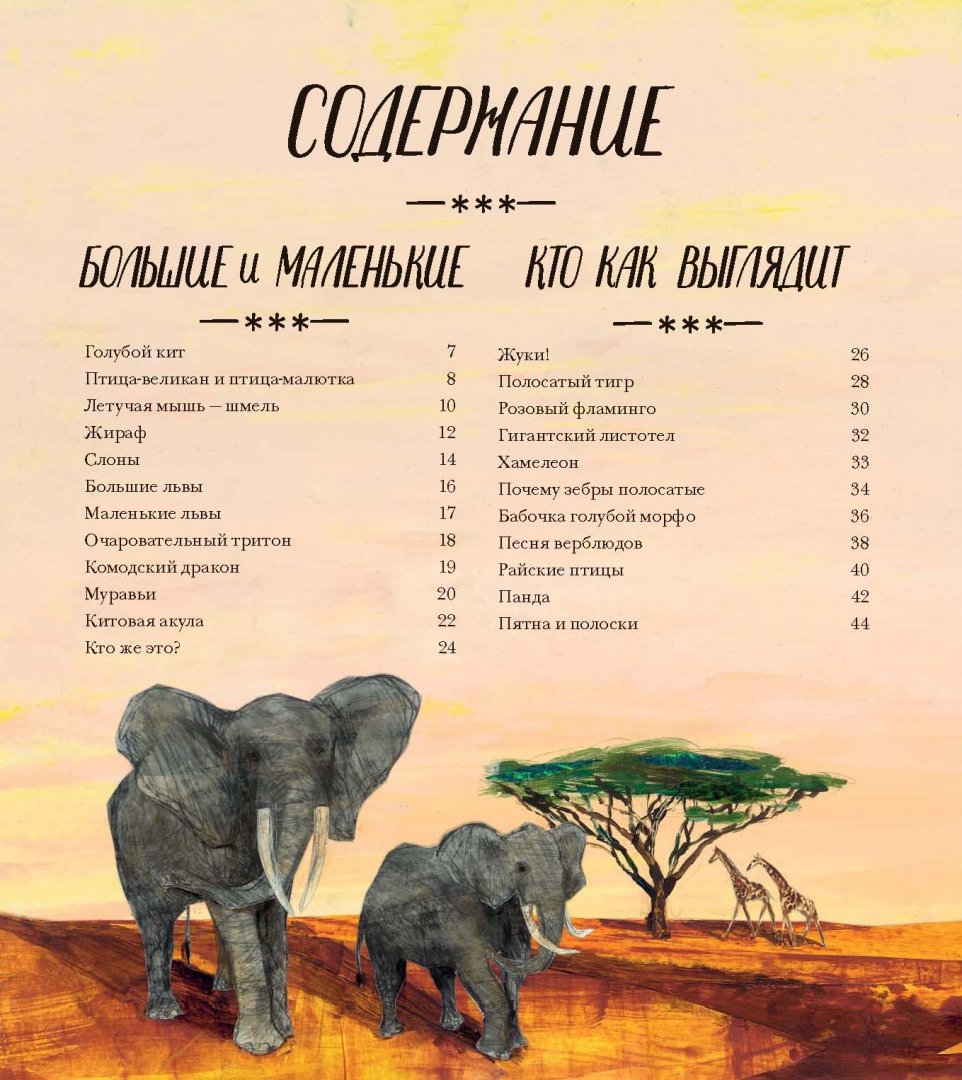 Красивая книга о животных (Дэвис Никола)