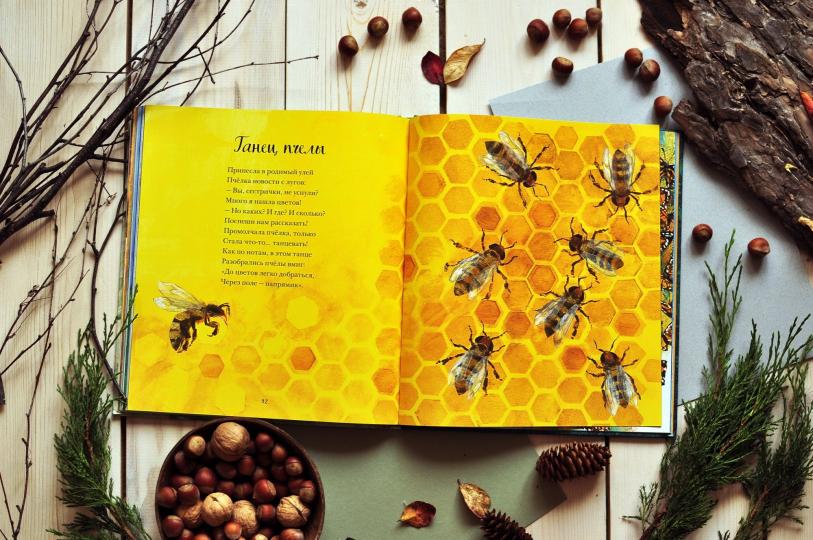 Красивая книга о животных (Дэвис Никола)