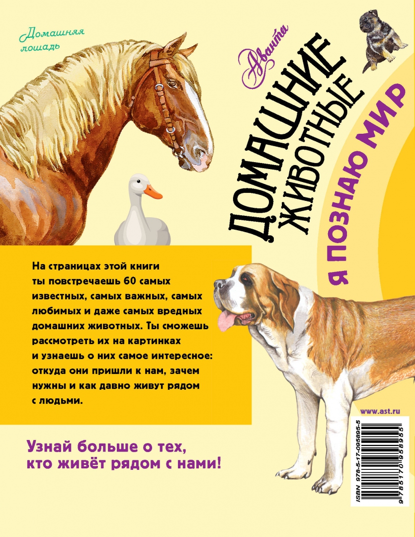 Домашние животные. 60 домашних животных, самых важных для человека (Снегирева Е. Ю.)