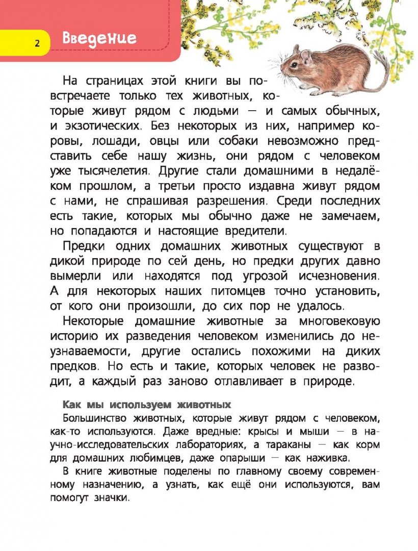 Домашние животные. 60 домашних животных, самых важных для человека (Снегирева Е. Ю.)