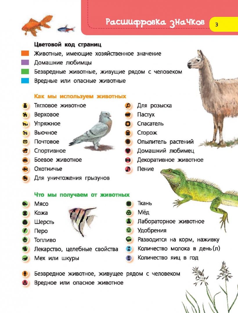 Домашние животные. 60 домашних животных, самых важных для человека (Снегирева Е. Ю.)