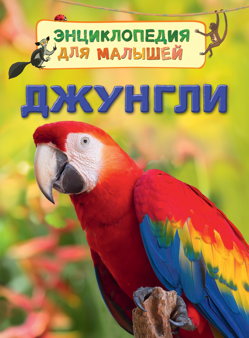 Джунгли – Sadko