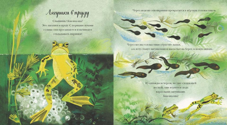Большая книга природы (Дэвис Никола)