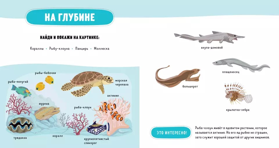 Главная книга малыша. Водные обитатели (Бессон А.)