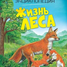 Жизнь леса