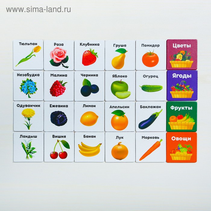 Развивающая игра «Умный планшет. Фрукты и овощи»