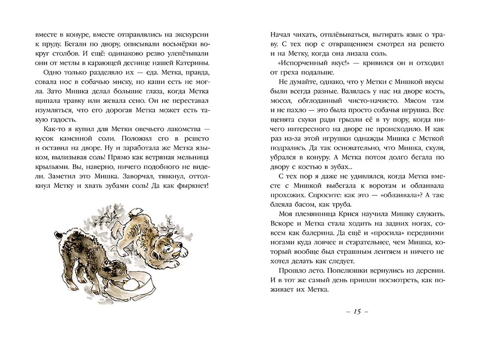 Муха с капризами (Ян Грабовский)