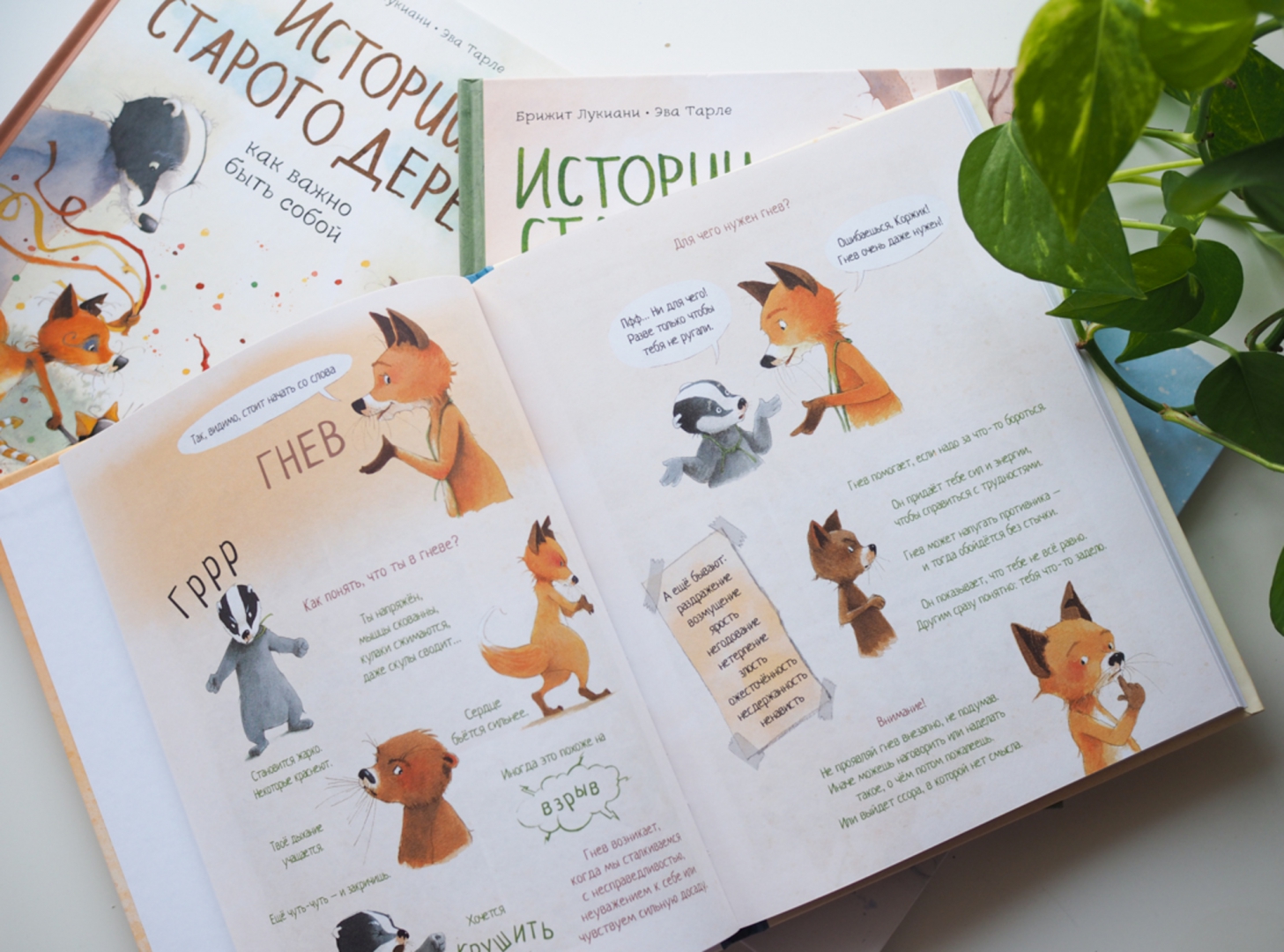 Уроки под старым деревом. Истории старого дерева (Лукиани Брижит)