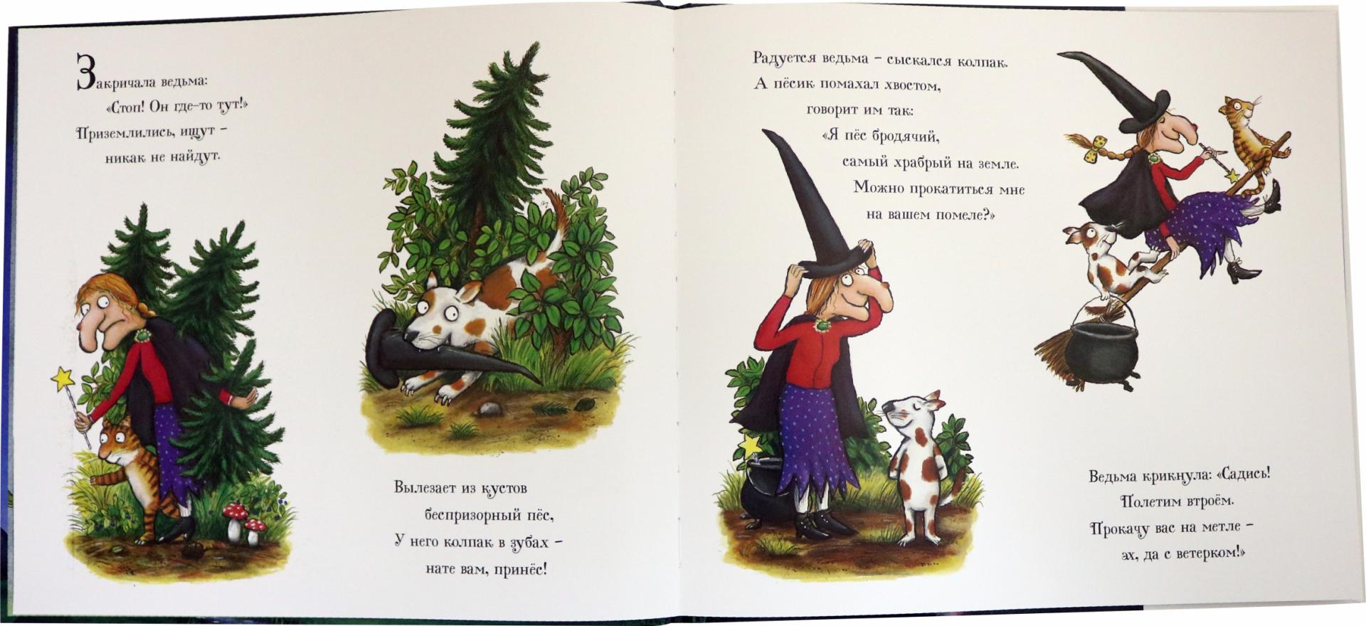 Верхом на помеле (Дональдсон Джулия) – Sadko