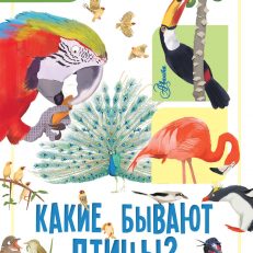 Какие бывают птицы? Моя первая книга обо всем на свете (Бедуайер Камилла де ла)