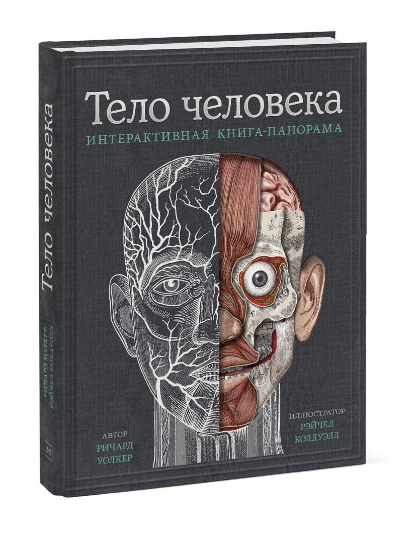 Тело человека. Интерактивная книга-панорама (Уолкер Ричард)
