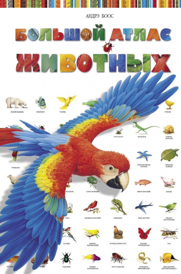 Большой атлас животных (Потард Селин) – Sadko