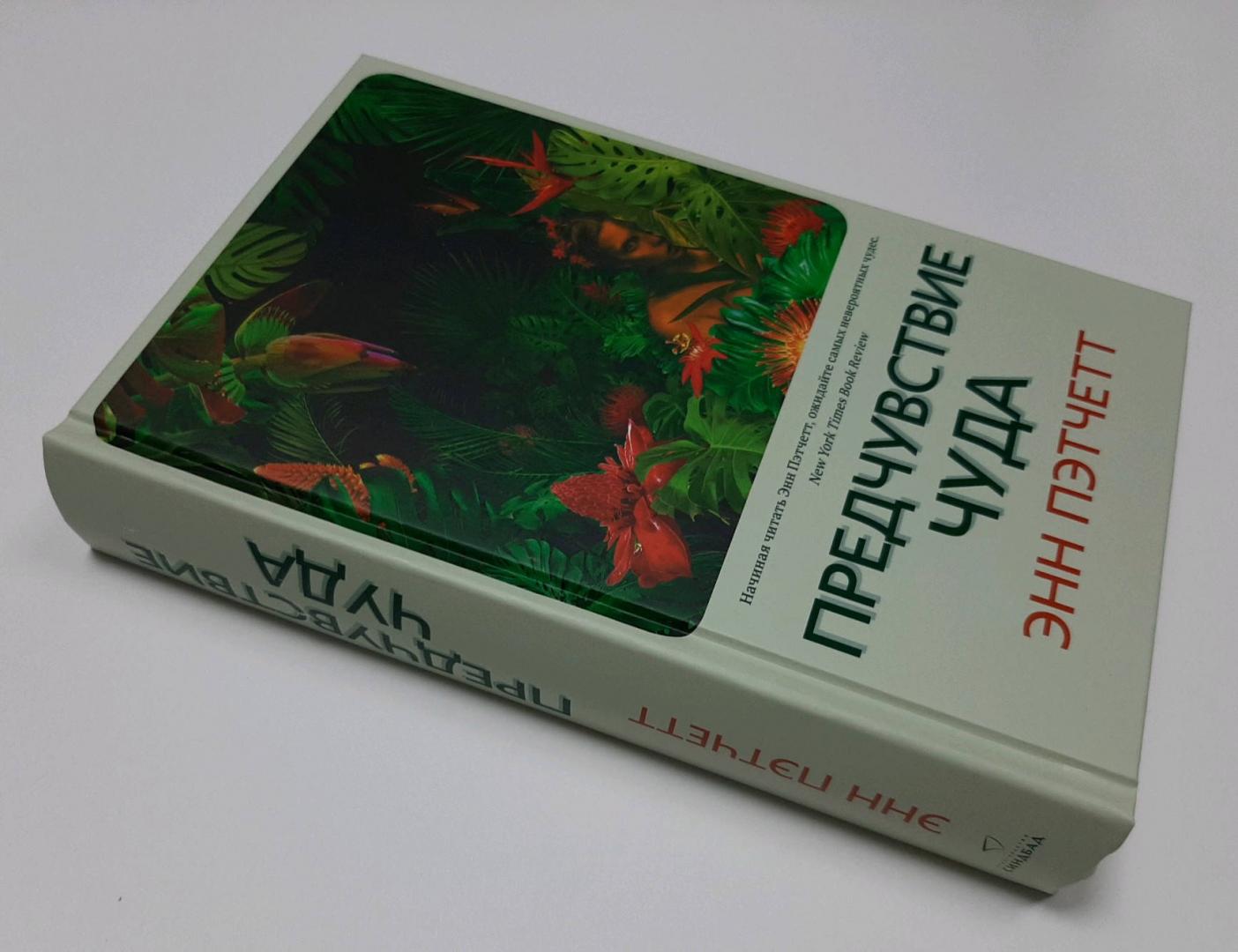 Предчувствие чуда (Пэтчетт Энн)