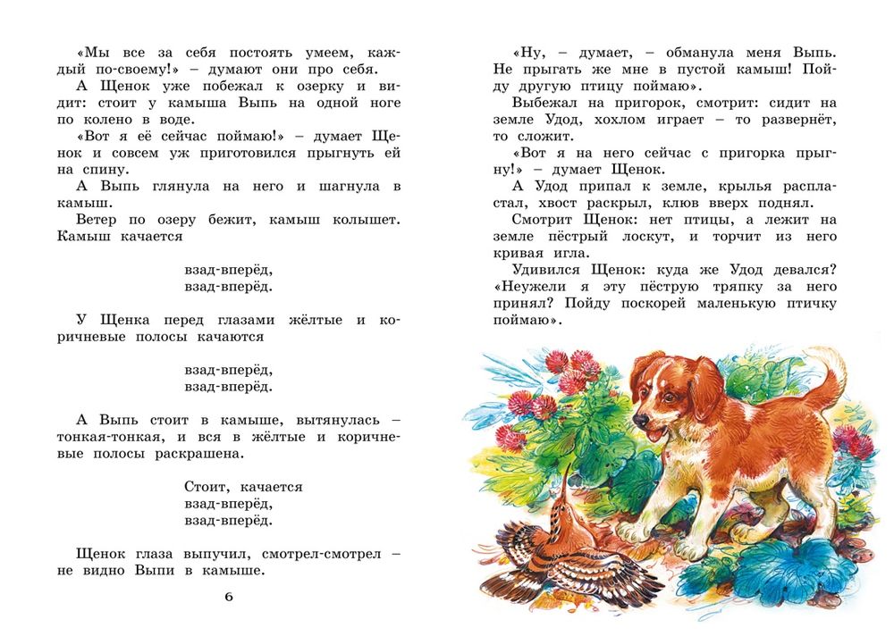 Где раки зимуют. Сказки и рассказы (Бианки В. В.)
