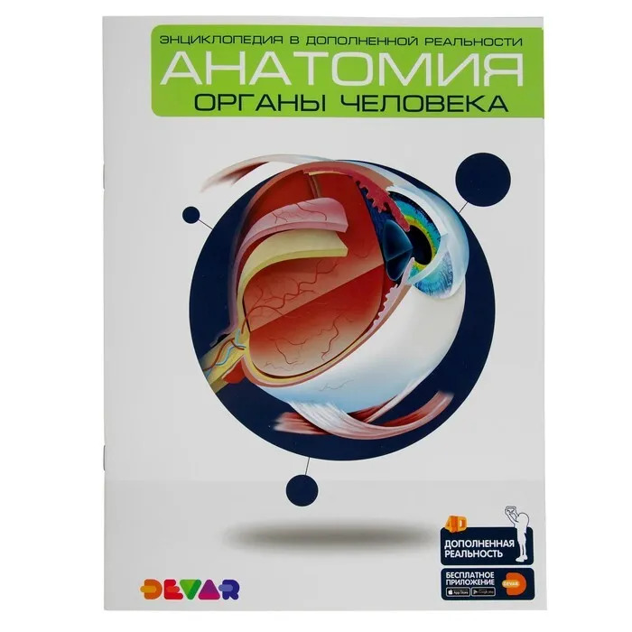 Энциклопедия в дополненной реальности “Анатомия: органы человека” – Sadko