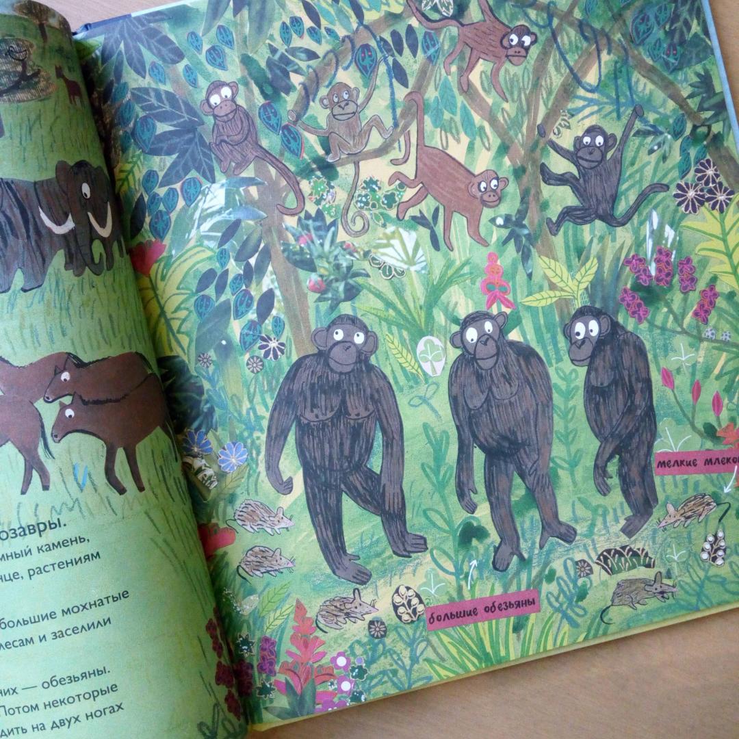 История людей. Моя первая книга о человечестве (Барр Кэтрин)