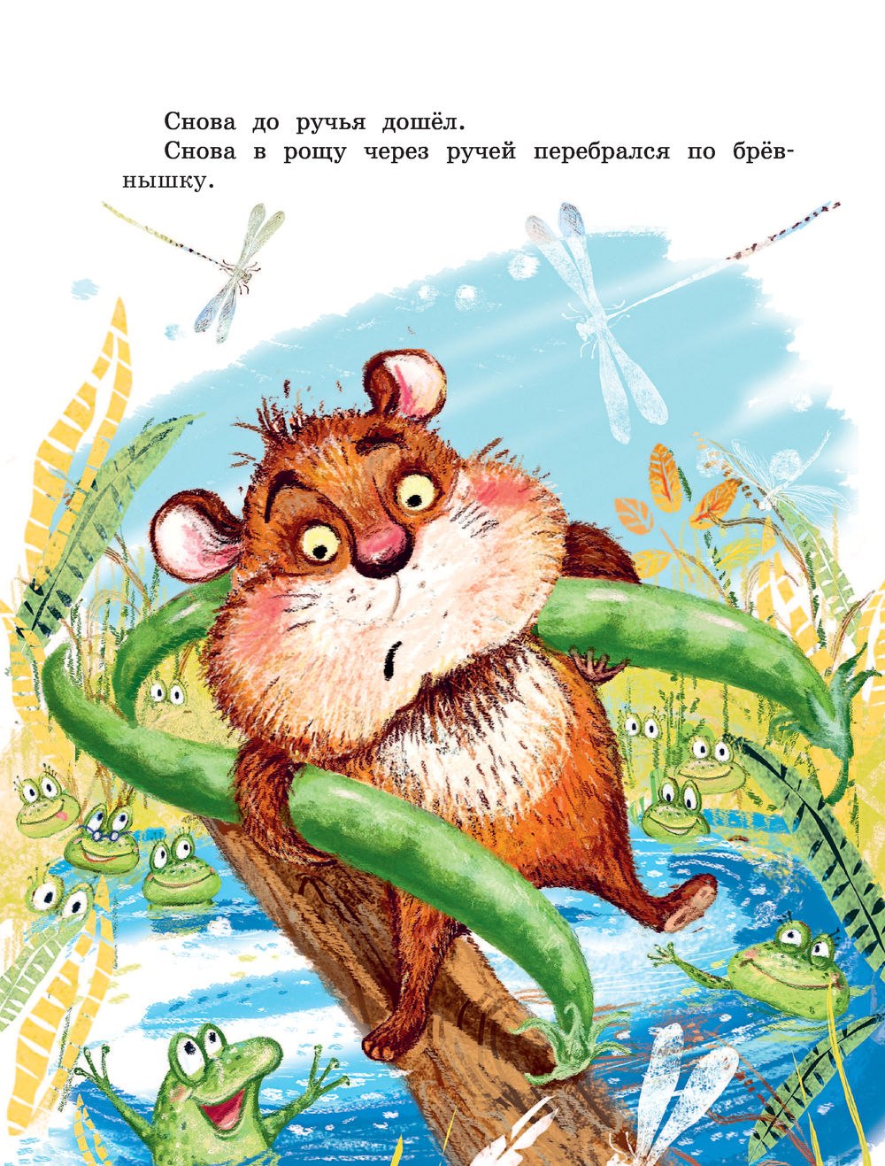 Приключения Хомы и Суслика (Иванов Альберт Анатольевич) – Sadko