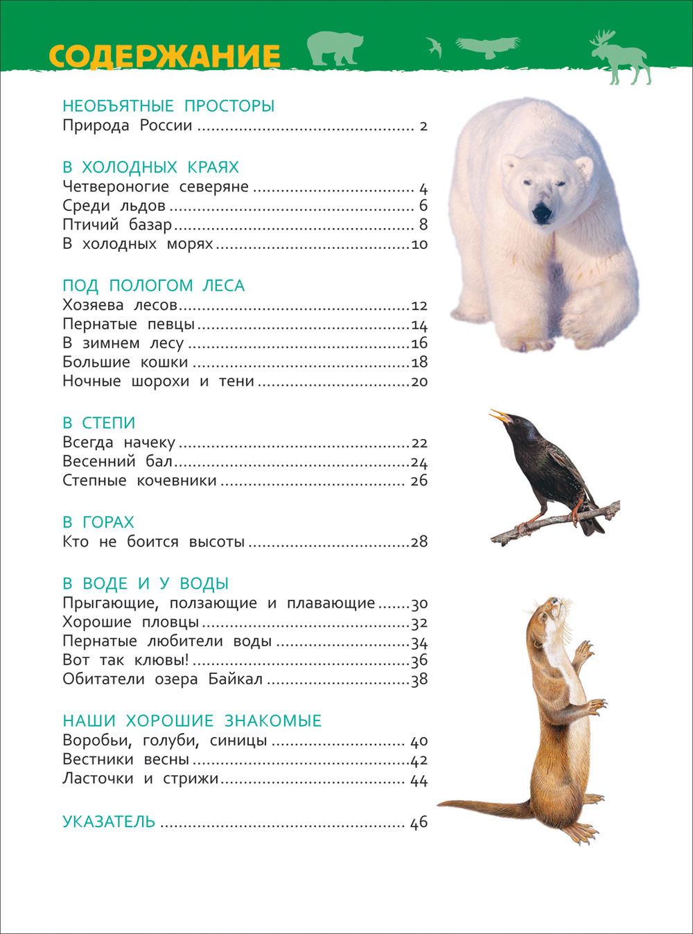 Животные России. Энциклопедия для детского сада (Ирина Травина)