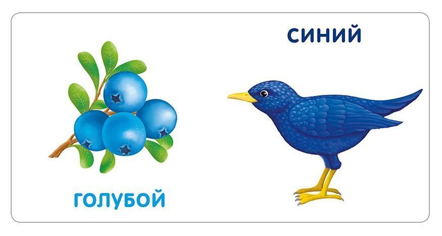 Книжки – картонки. Цвета в природе – Sadko