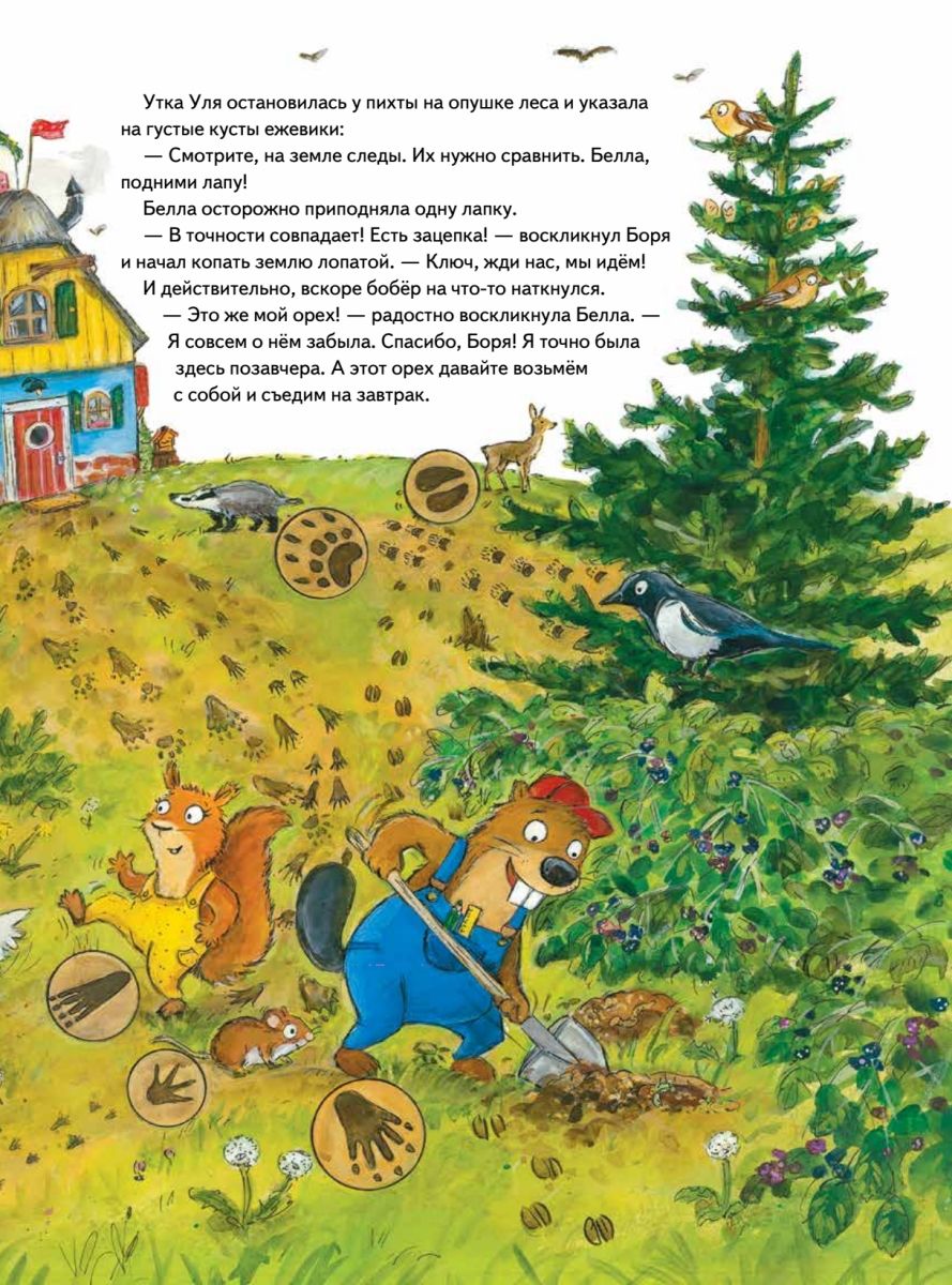 Бобёр Боря-следопыт! Кто прячется в лесу? (Рамке Инга Мари) – Sadko