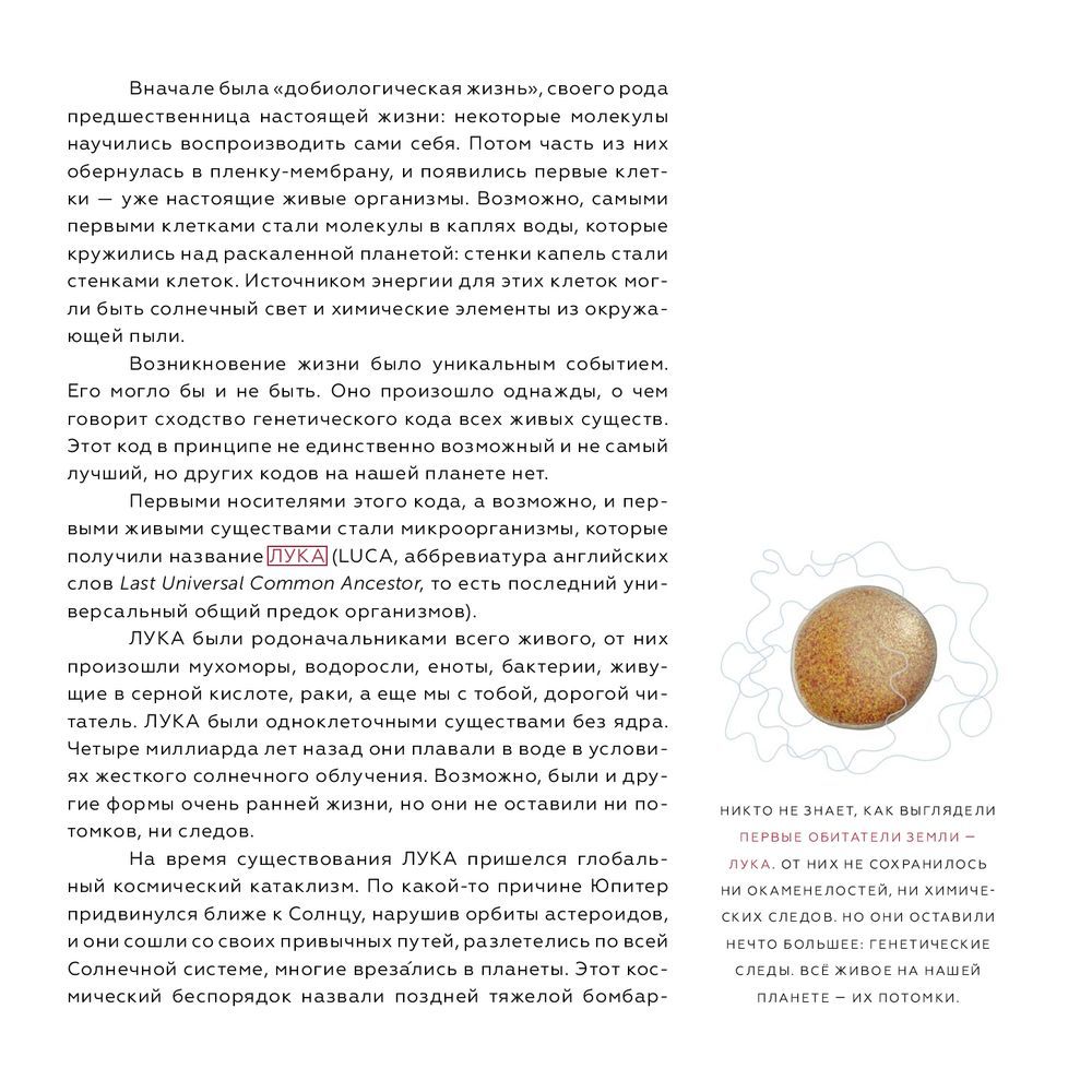 История Земли. От звездной пыли к звездной пыли (Нелихов Антон Евгеньевич)