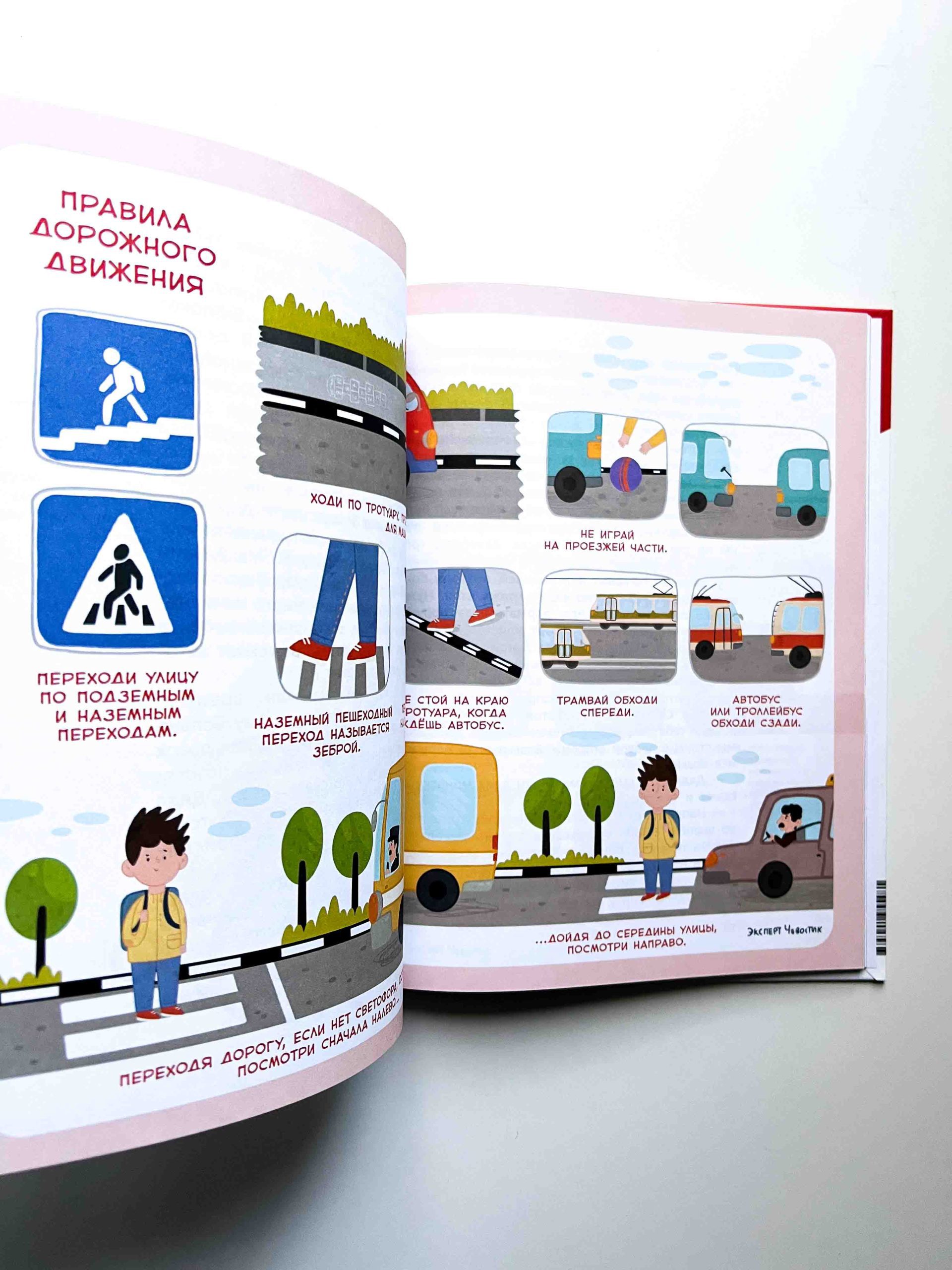 Правила безопасности. Чевостик (Попова Татьяна Львовна)