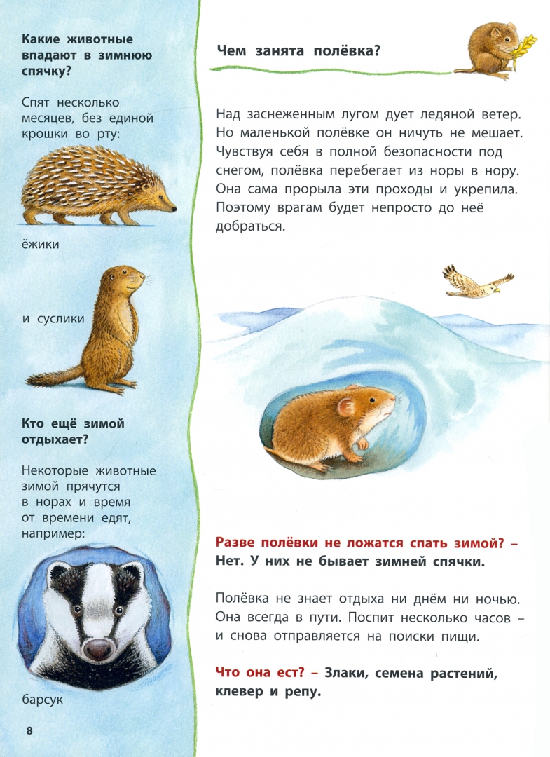 Кроты и другие подземные жители. Познавательные истории (Райхенштеттер ...