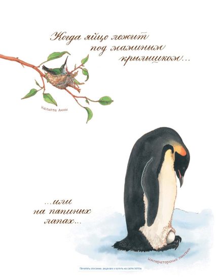 Яйцо любит тишину (Астон Дианна)