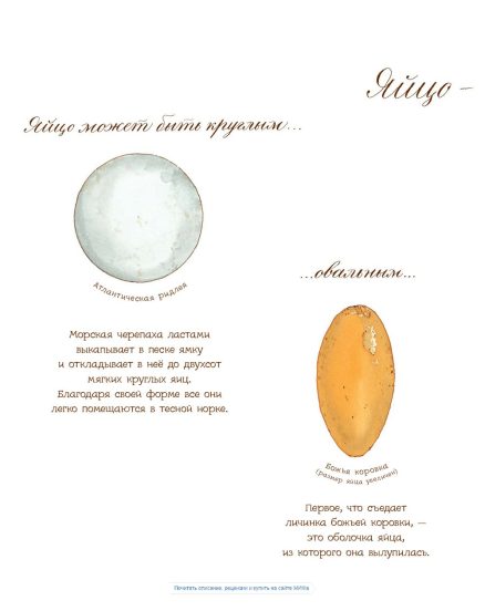 Яйцо любит тишину (Астон Дианна)