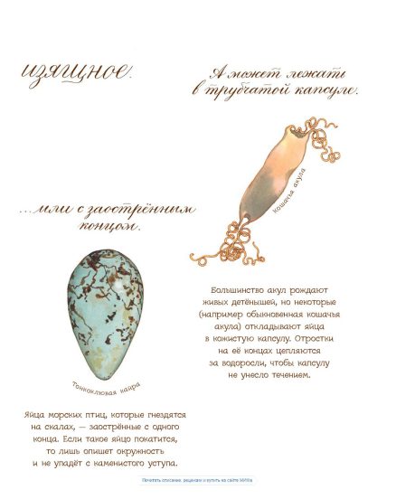 Яйцо любит тишину (Астон Дианна)
