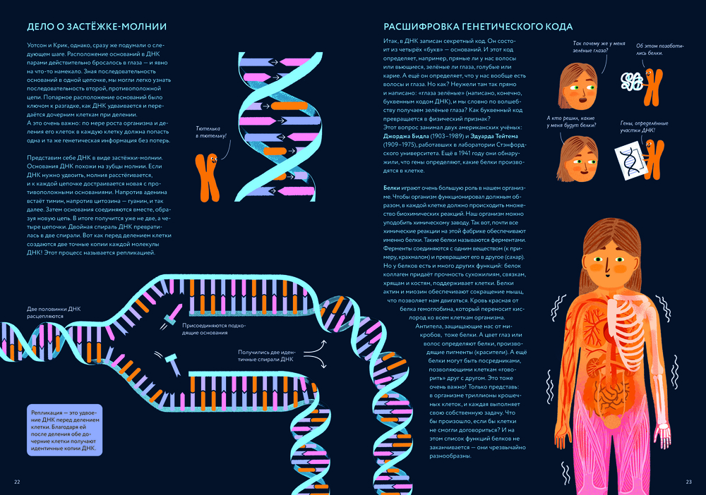 ДНК. Код жизни (Хэфнер Карла)