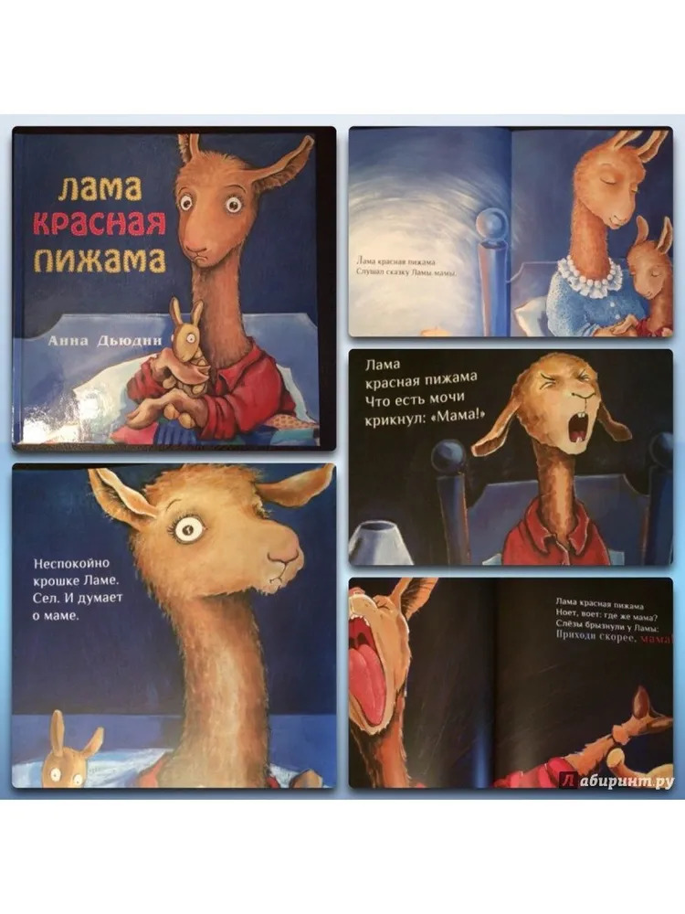 Лама красная пижама (Дьюдни Анна)