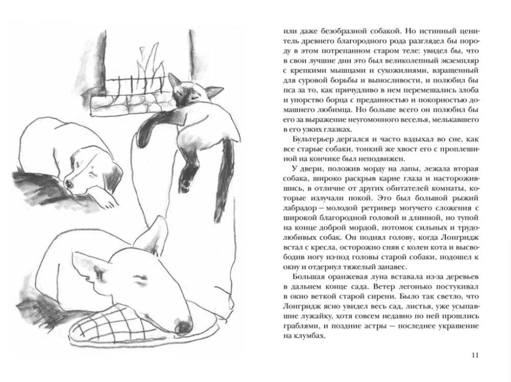 Невероятное путешествие (Барнфорд Ш.)