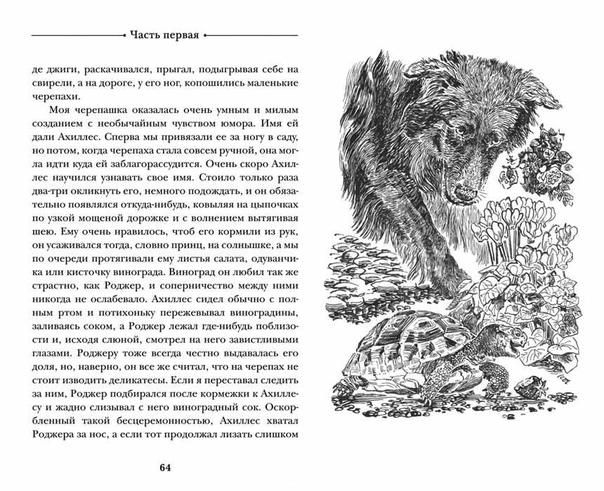 Моя семья и другие звери (Даррелл Дж.)