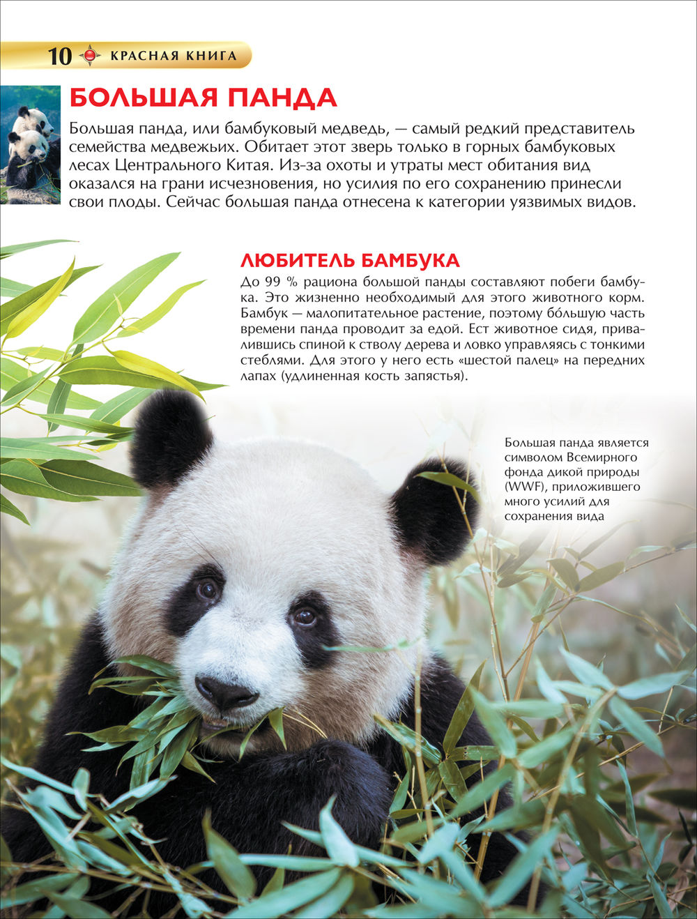 Красная книга. Детская энциклопедия