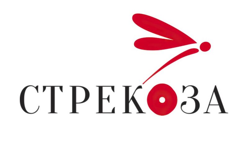 Стрекоза