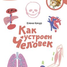 Как устроен человек. Чевостик (мягкая обложка) (Е.Качур)