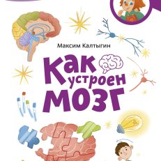 Как устроен мозг. Чевостик (мягкая обложка) (М.Калтыгин)