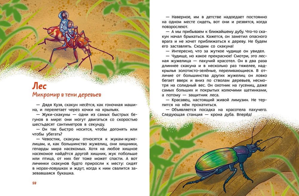 Насекомые и пауки. Чевостик (А.Бондарев)