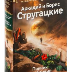 Пикник на обочине. Время выбора (Стругацкий А., Стругацкий Б.)