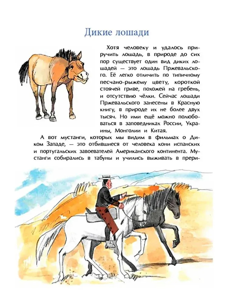 Кони. Дикие, благородные, знаменитые (М.Лазаренская)