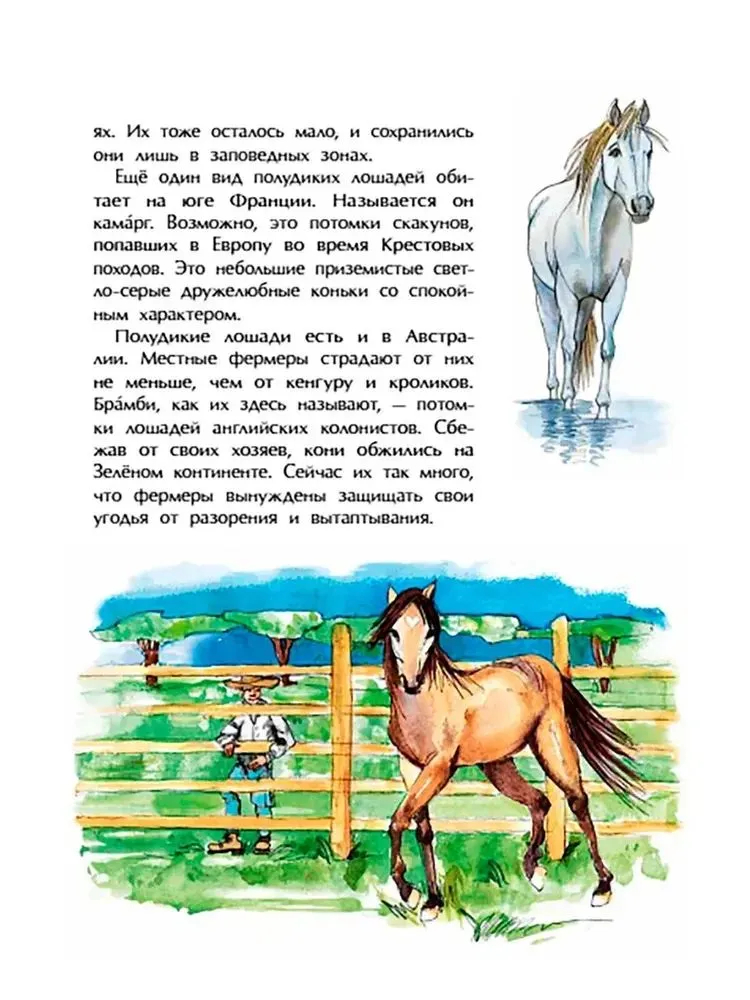 Кони. Дикие, благородные, знаменитые (М.Лазаренская)
