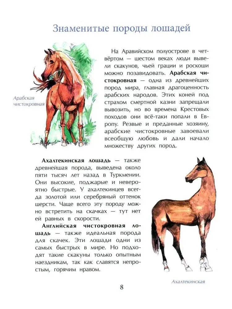 Кони. Дикие, благородные, знаменитые (М.Лазаренская)