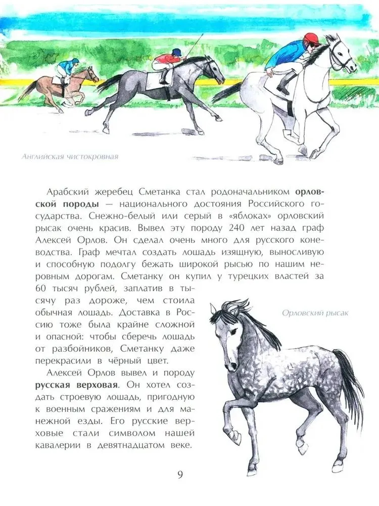 Кони. Дикие, благородные, знаменитые (М.Лазаренская)