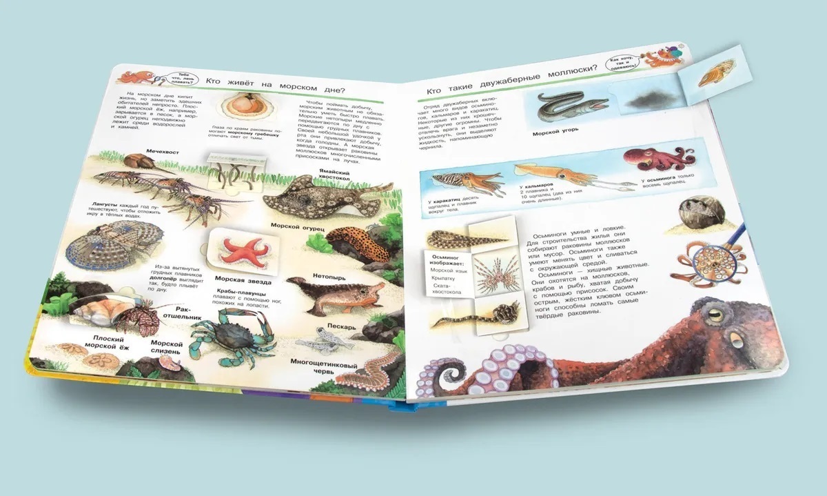 Мир морских животных. Что? Почему? Зачем?