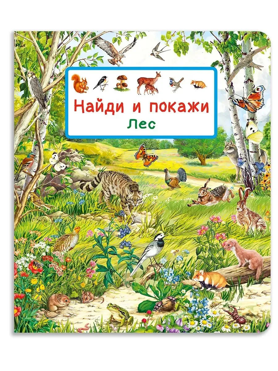 Найди и покажи. Лес