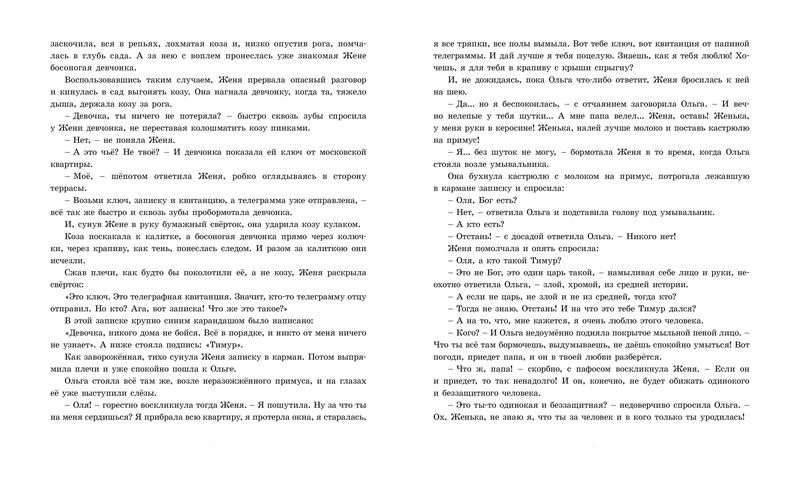 Тимур и его команда (А. Гайдар)