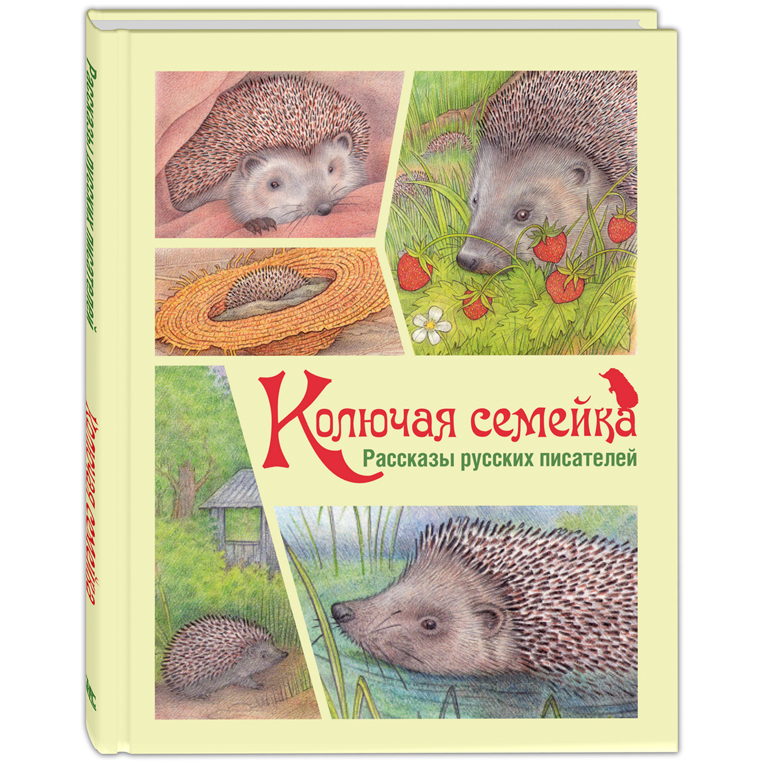 Колючая семейка. Рассказы русских писателей (С. Черный, М. Пришвин, Г. Скребицкий)